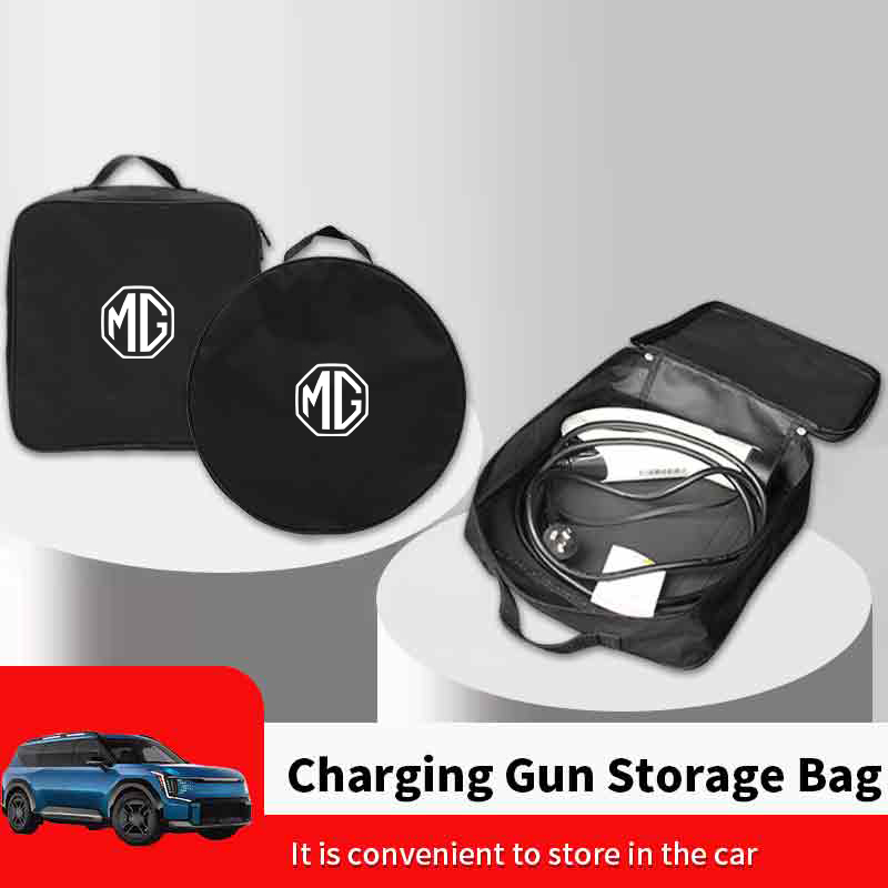 Auto-Ladepistolen-Aufbewahrung – Tool Chest Cabinet Bewertung und Preis